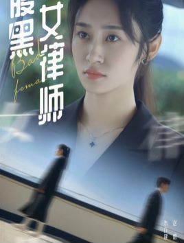 腹黑女律师第21-40集